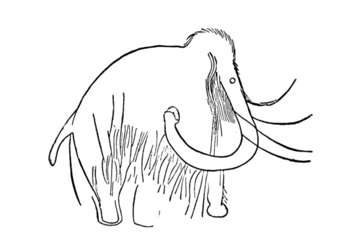 Cave Art Mammoth Coloring Page